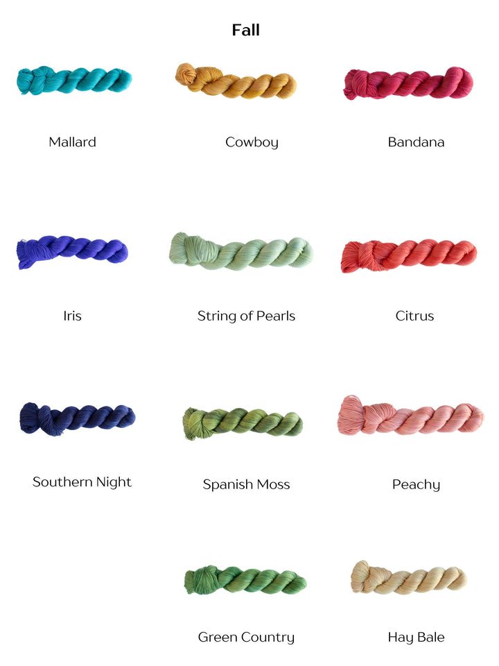 Fingering - 70% Superwash Merino 30% Silk Hand Dyed Color Season Collection